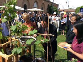 © Alessandro Colombo