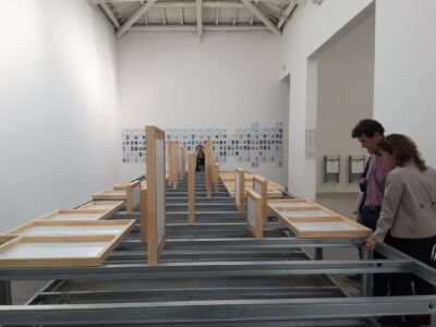 © Graziella Trovato