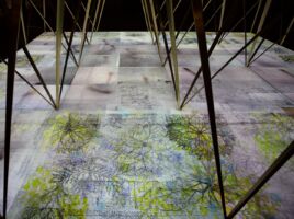 Garden © Riccardo Tosetto