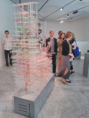 © Daniele Campobenedetto