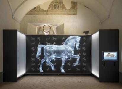 Leonardiana, Il grande cavallo