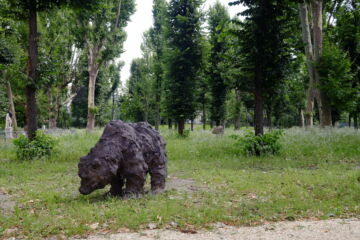 Giardini reali: «Orsi» di Davide Rivalta