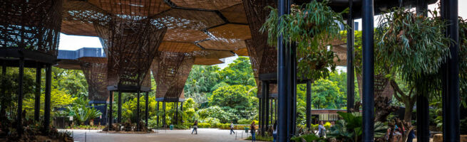 Studio Plan B con Camilo e Paul Restrepo, Orquideorama (foto di Valerio Stopponi)