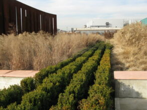 Progetto di Marco Bay davanti agli Hangar della Bicocca