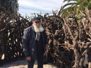 Alfio Bonanno e la sua installazione site specific ©Marco Scarpinato