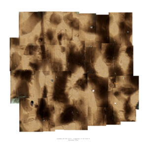 Francesco Nonino, Habitat, 2013