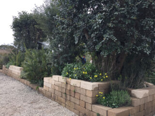 James Basson, Alpheus and Arethusa ©Marco Scarpinato