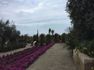 Vista di insieme ©Marco Scarpinato