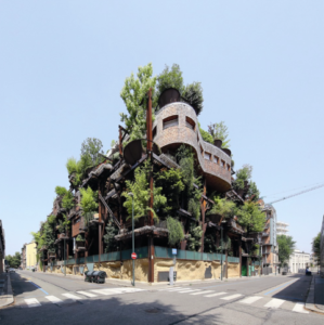 25 verde (@Fabrizio Mauro)