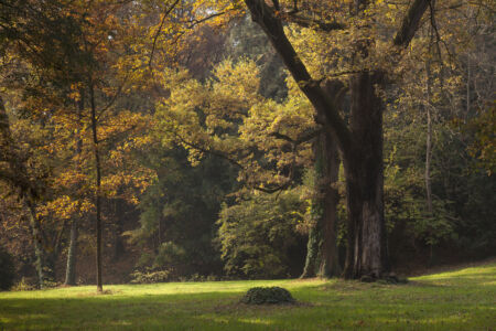 Castello di Rocchetta Tanaro © Giorgio Olivero