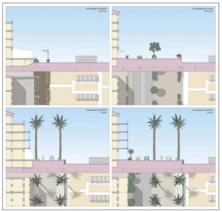 Il principio ordinatore degli alberi diventa elemento di progetto per la riqualificazione del Lungomare di Levante e di Ponente