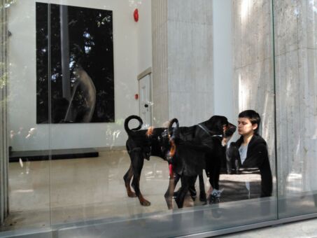 Padiglione Germania. Anne Imhof