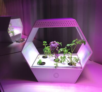 Il progetto "Linfa" di Robonica srl, presentato alla terza edizione di "Seeds&Chips"