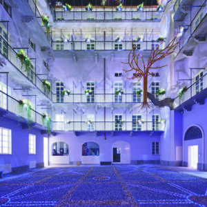 The Number 6 (©Piero Ottaviano)