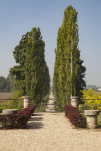 Viale d’accesso alla Tenuta di Borgo Cornalese, Villastellone © Giorgio Olivero