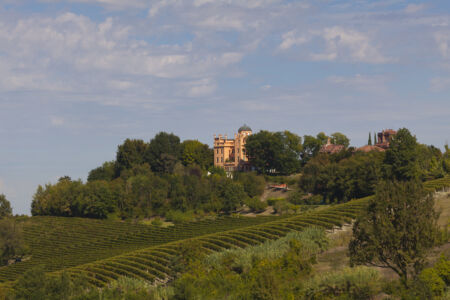 Vigneti alla Tenuta La Mandoletta, Casale Monferrato © Giorgio Olivero