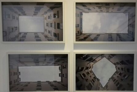 Cavedi haussmanniani