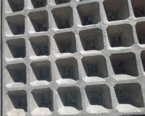 © Francesca Petretto - nido d'ape