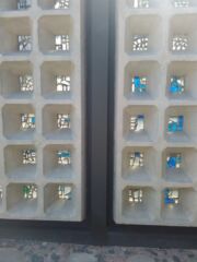 Recupero reticolato e struttura (© Francesca Petretto)