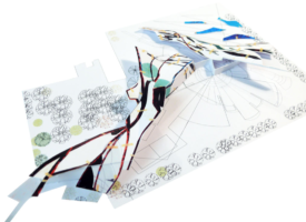 Modello (©Benedetta Tagliabue)