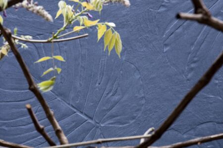 Cerasarda, Abitare la terra