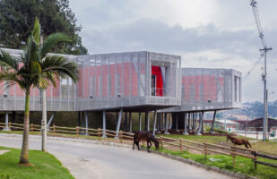 © Rodrigo Davila Baja