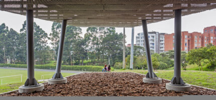 © Rodrigo Davila Baja