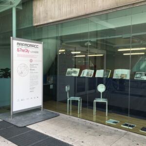 Marmomac & the City 2016, Biblioteca Civica, Mr Statuario & Miss Calacatta di M.Andreoni con Bruno Lucchetti Marmi e Graniti