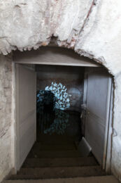 Video Installazione di Aldo Del Bono (Foto di Damiano Tarantino)