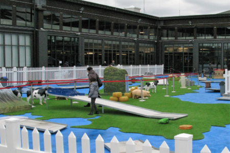 Il minigolf, con le mucche, i maiali, le forme di parmigiano, la torre di pisa e il colosseo.
Tutto di plastica
(©Chestnut)