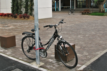 Biciclette legate ai pali (©Chestnut)
