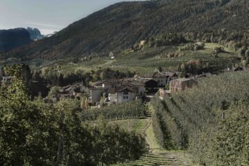 Nuova casa sociale
per l’abitato di Caltron
Cles, Tn
(Progettista:
Mirko Franzoso)