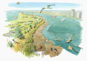 Render del progetto di sistemazione della zona del porto a Kleur