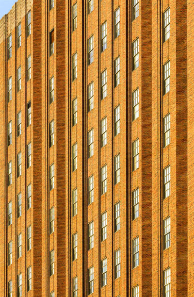 Camilla Borghese Spazio Nuovo