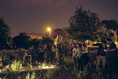 © Dinko Cepak. All rights reserved