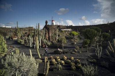 Jardin de Cactus, Lanzarote; premio 2017 (© Andrea Rizza Goldstein)