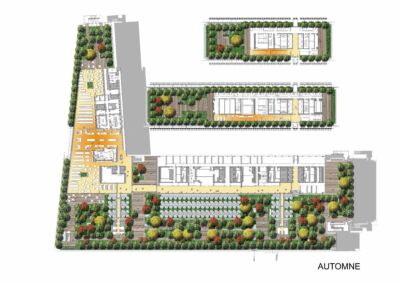 Plan des terrasses du socle et de l'IGH situées au niveau des tailles de guêpe (automne) © RPBW