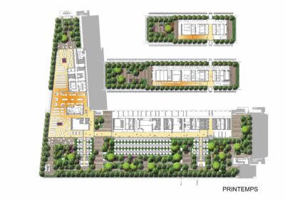 Plan des terrasses du socle et de l'IGH situées au niveau des tailles de guêpe (printemps) © RPBW