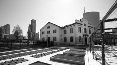 Parco Biblioteca degli Alberi (studio Inside Outside – Petra Blaisse, Piet Oudolf)