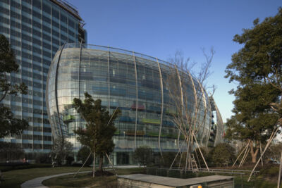 GAO YANG. Shanghai, Cina