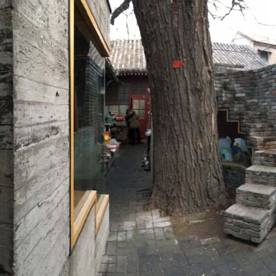 Micro Yuan’er (©Silvia Lanteri)