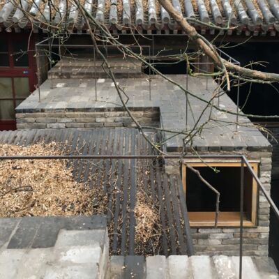 Micro Yuan’er (©Silvia Lanteri)