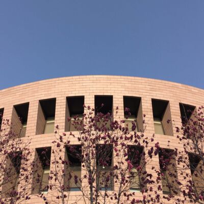 Humanities and Social Sciences Library (©Silvia Lanteri)