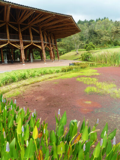 Simon Velez. Padiglione Zeri a Manizales (foto di Luca Bullaro. Universidad Nacional de Colombia)