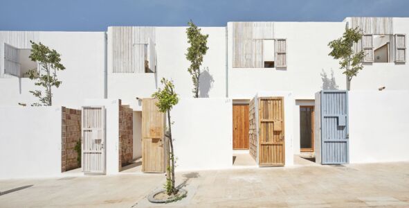 Life reusing Posidonia (©José Hevia)