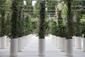 (Courtesy Fondazione MAXXI)