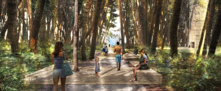 La nuova accessibilità alla spiaggia attraverso la pineta