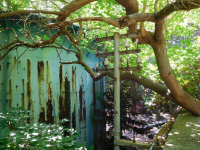 L'Orto Botanico di Palermo (© Lucia Pierro e Marco Scarpinato)