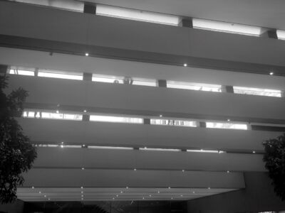 (© Arianna Panarella)