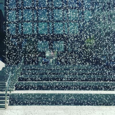 (© Arianna Panarella)